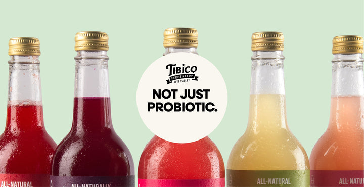 Not Just Probiotic: The Science Behind Tibico’s Secondary Lacto-Fermented Water Kefir