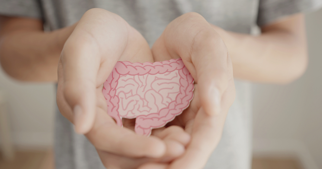 How Fermented Foods Support IBS and Diverticulitis