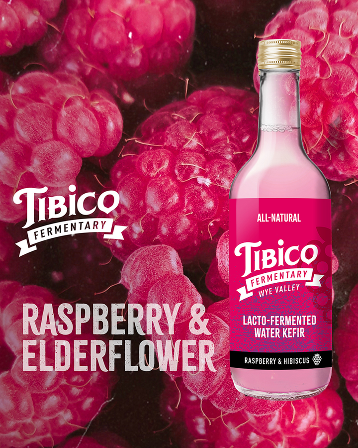 Fermented Foods, B Vitamins & Brain Power: The Tibico Connection