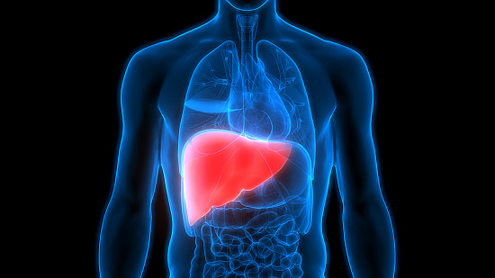 How Our Unique All-Natural Fruit Water Kefir Supports Liver Health