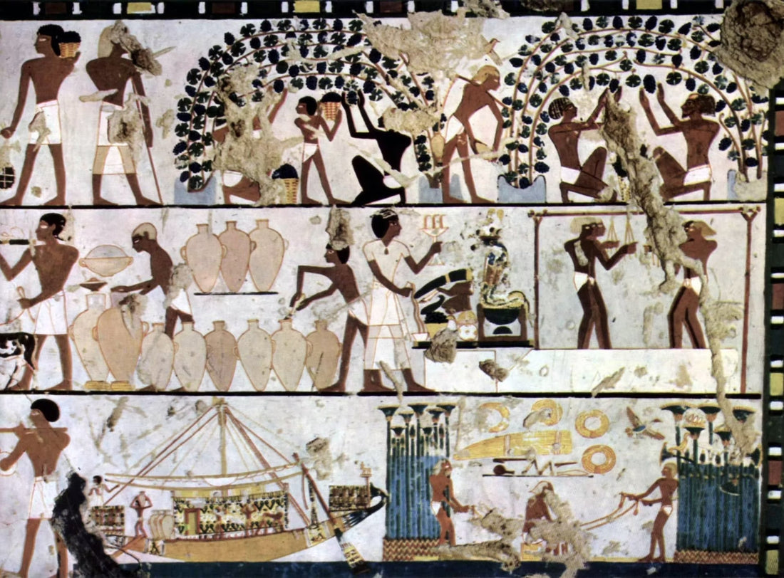 What is Fermentation?