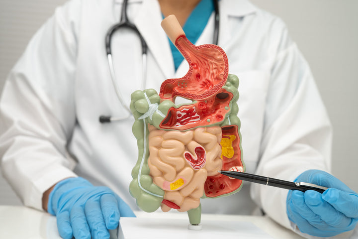 Your Gut and the Power of Everyday Food: 40 Facts About Your Gut and Fermentation