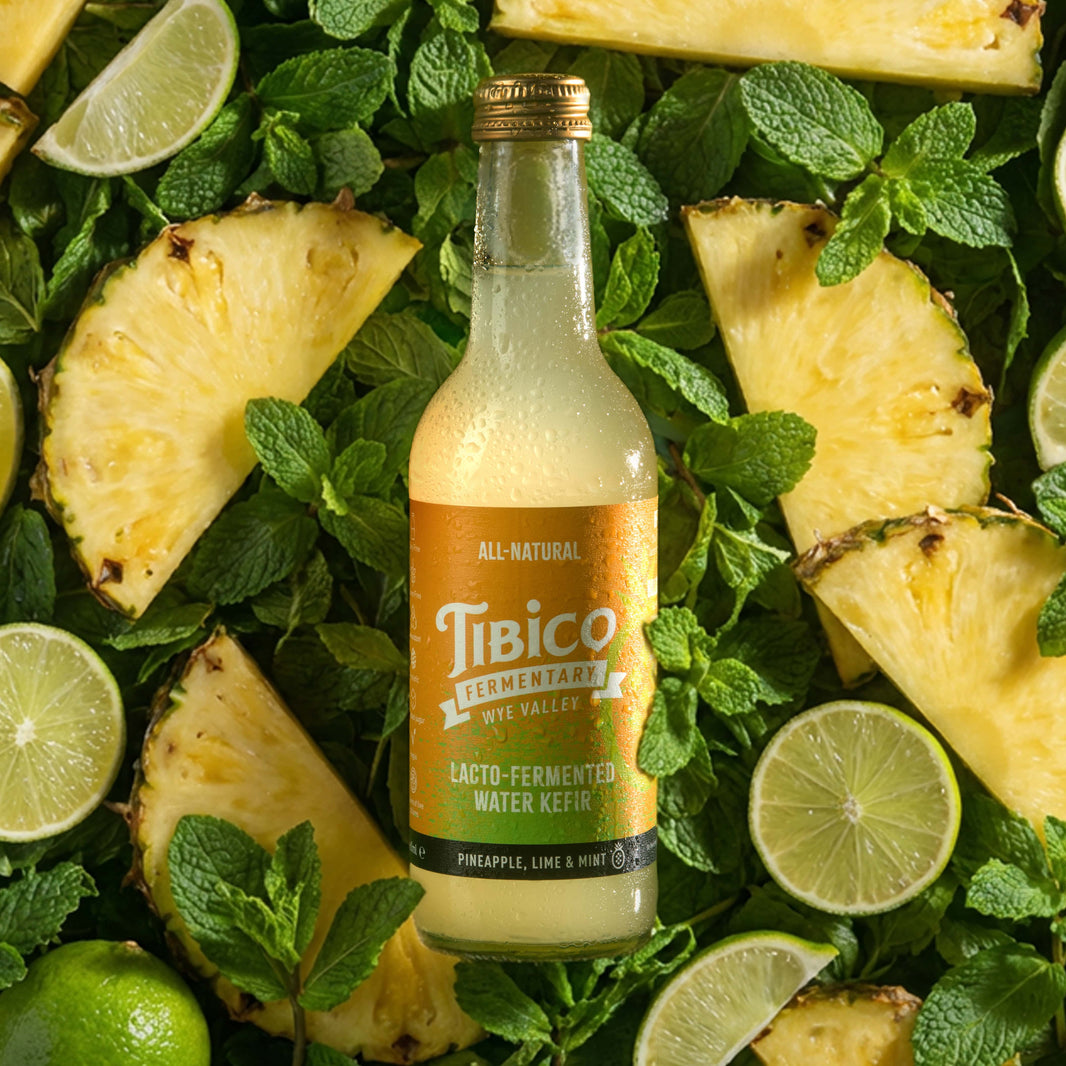 Tibico Fermentary Craft Fermented Water Kefirs