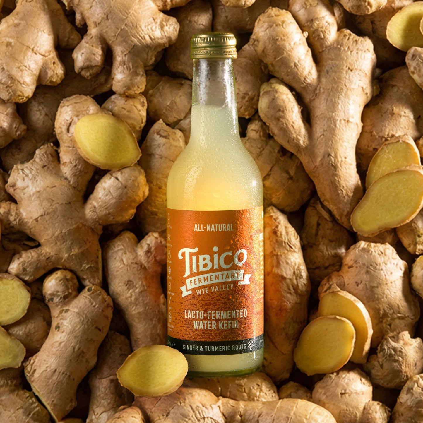 15 x 330 ml Mixed Water Kefirs