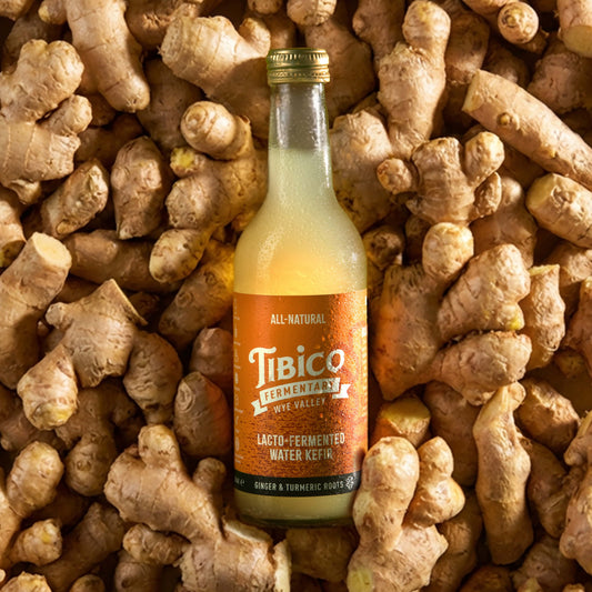 Ginger and Turmeric Root Water Kefir