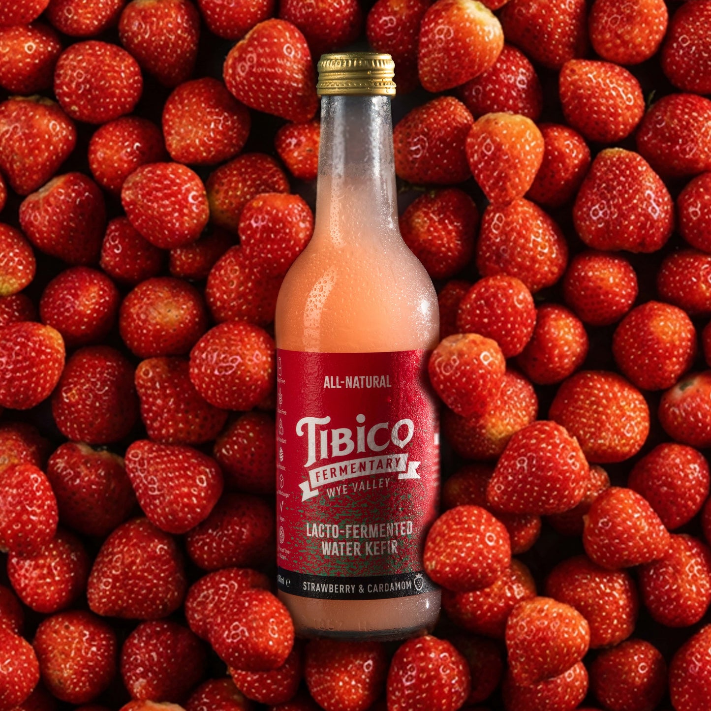 6 x 500ml Build A Box