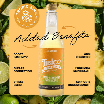 15 x 330 ml Mixed Water Kefirs