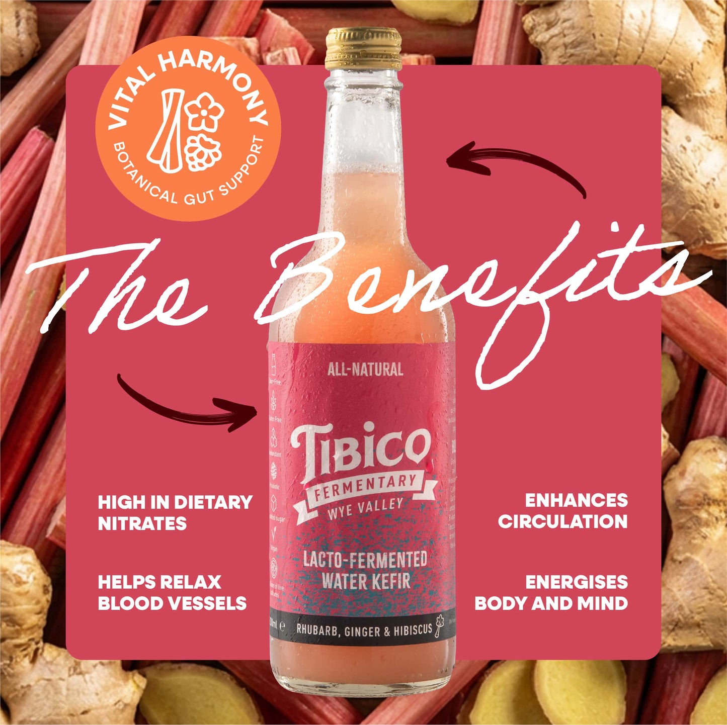 15 x 330 ml Mixed Water Kefirs