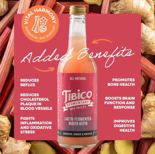 Rhubarb, Hibiscus and Ginger Water Kefir